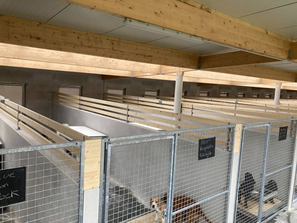 amenagement-box-animaux